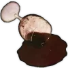 Стикер 29 𝙱𝚕𝚊𝚌𝚔 𝚁𝚎𝚍