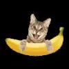 Стикер 16 Banana Clicker