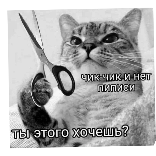 🐱 Стикер «Бандитка» для Telegram