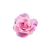 🌹 Эмодзи «Барби - кириллический шрифт из фильма» для Telegram