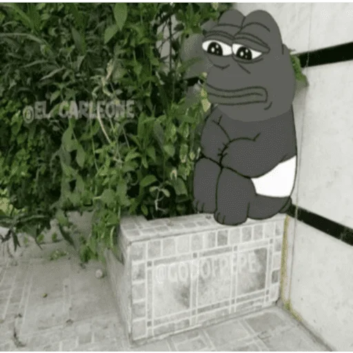 🐸 Стикер «Bare Pepe&;s» для Telegram