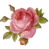 Стикер 36 Barocco emoji
