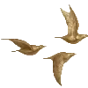 Стикер 6 Barocco emoji