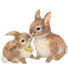 Стикер 34 Barocco emoji