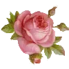 Стикер 35 Barocco emoji