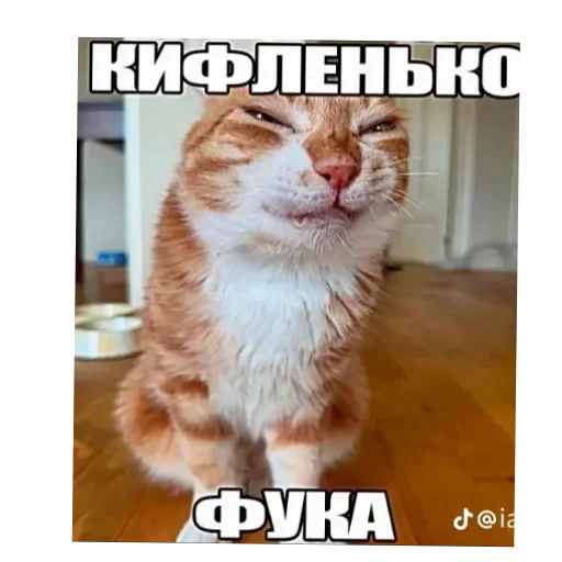 🐱 Стикер «Бурмалда» для Telegram