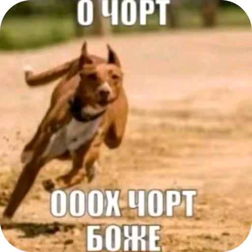 👍 Стикер «Бурмалда» для Telegram