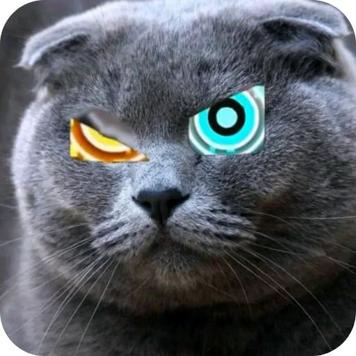 🐱 Стикер «Бурмалда» для Telegram