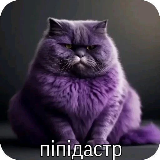 🐱 Стикер «Бурмалда» для Telegram