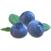 Стикер 10 Blueberry