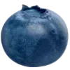 Стикер 3 Blueberry