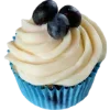 Стикер 20 Blueberry