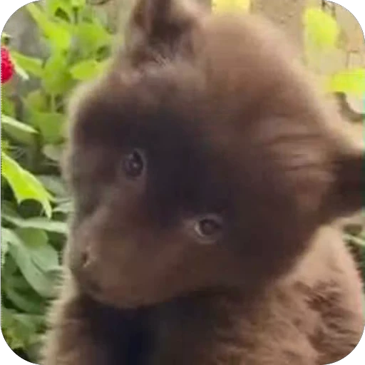 😚 Стикер «ba» для Telegram