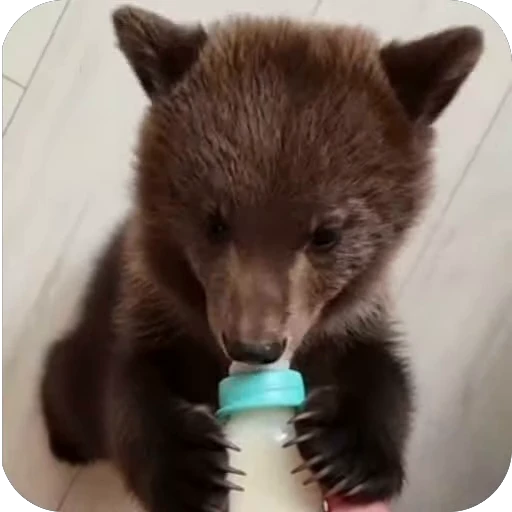 😋 Стикер «ba» для Telegram
