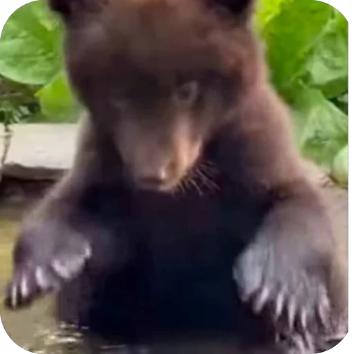 🌧 Стикер «ba» для Telegram