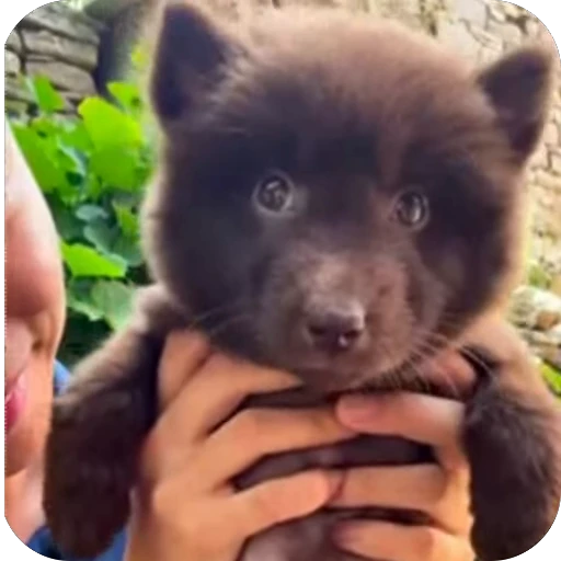 🥰 Стикер «ba» для Telegram