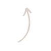 Стикер 22 Beige aesthetic