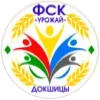 Стикер 56 Футбол Беларуси