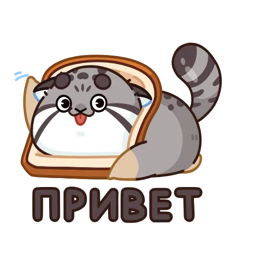 Обложка набора ️ Анимированный набор эмоджи с котом Беляшем из ВК