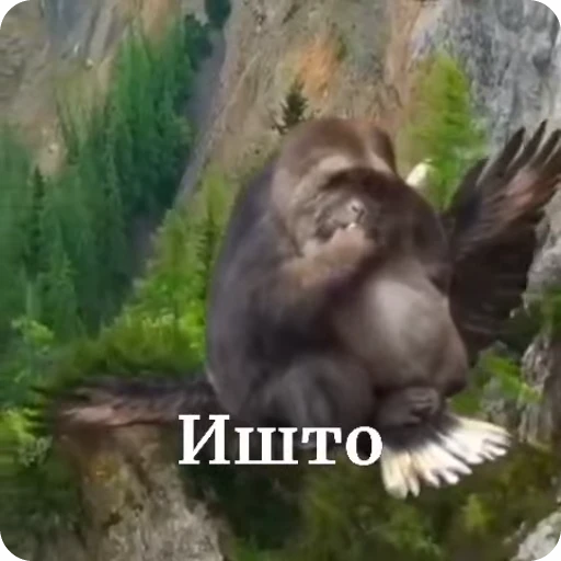 🌟 Стикер «Бибизяна» для Telegram