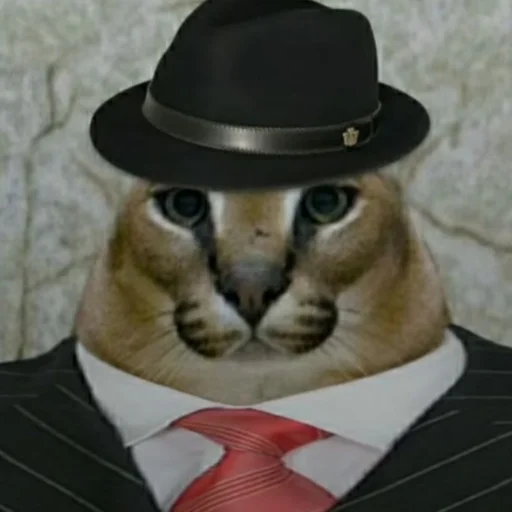 😎 Стикер «Стикеры Шлёпы» для Telegram