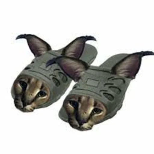 🐱 Стикер «Стикеры Шлёпы» для Telegram