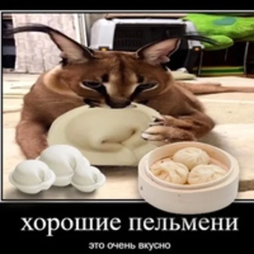 🍏 Стикер «Стикеры Шлёпы» для Telegram