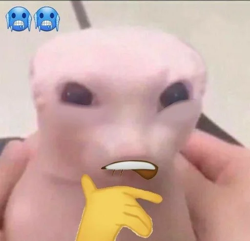 😏 Стикер «bingus» для Telegram