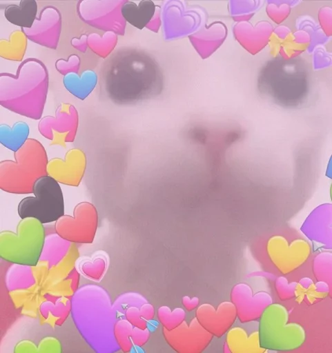 ❤ Стикер «bingus» для Telegram