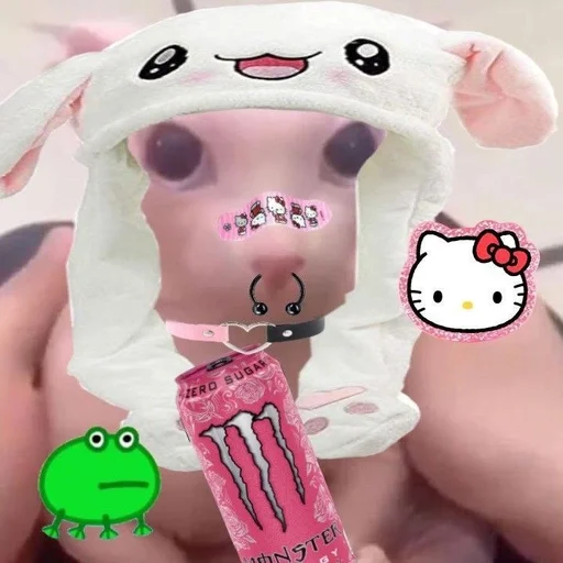 😍 Стикер «bingus» для Telegram