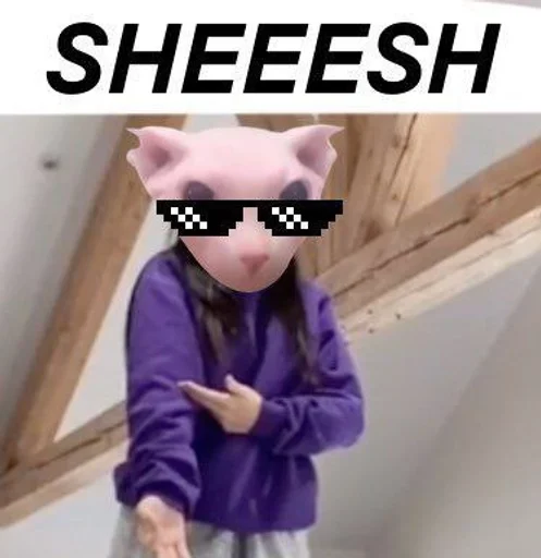 😎 Стикер «bingus» для Telegram