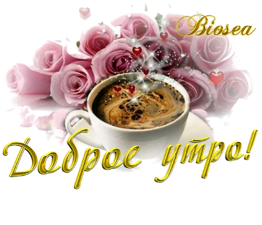 🍵 Стикер «Biosea Диана Мансурова» для Telegram