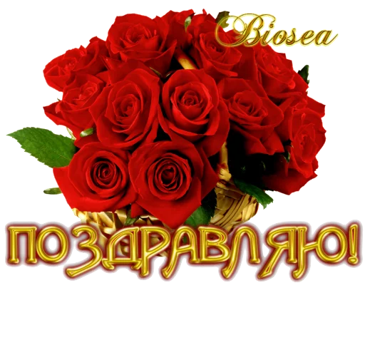 💐 Стикер «Biosea Диана Мансурова» для Telegram