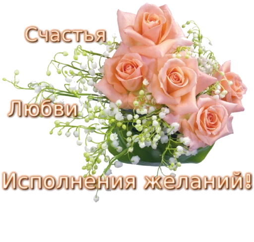 🌹 Стикер «Biosea Диана Мансурова» для Telegram