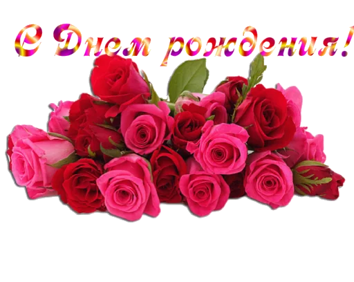 💐 Стикер «Biosea Диана Мансурова» для Telegram