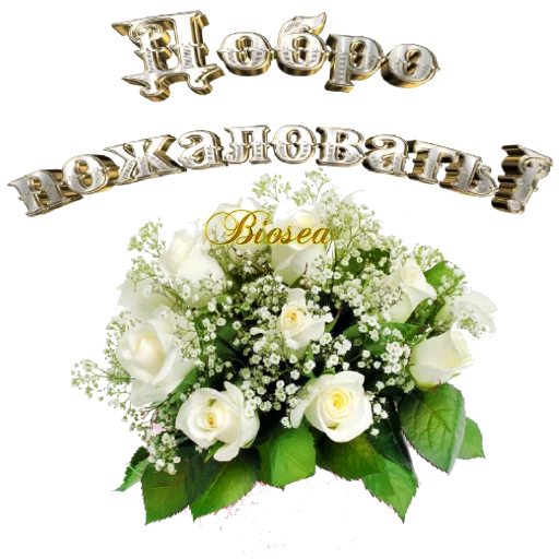 🌼 Стикер «Biosea Диана Мансурова» для Telegram