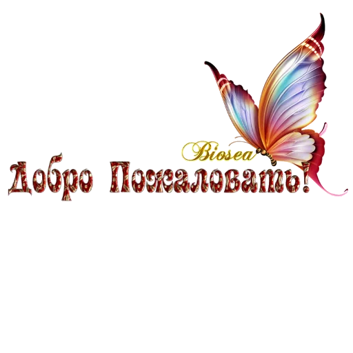 🦋 Стикер «Biosea Диана Мансурова» для Telegram