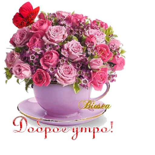 💐 Стикер «Biosea Диана Мансурова» для Telegram
