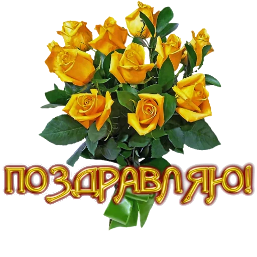 💐 Стикер «Biosea Диана Мансурова» для Telegram