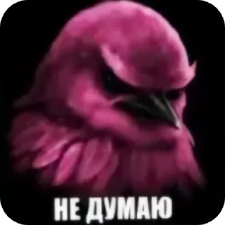 Стикер 32 Birds Memes