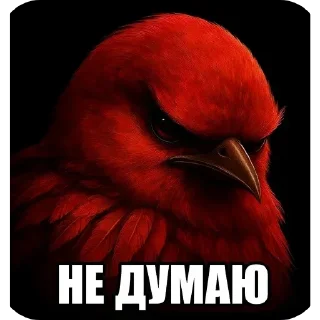 Стикер 16 Birds Memes