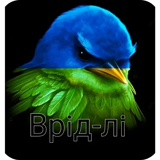 Стикер 50 Birds Memes
