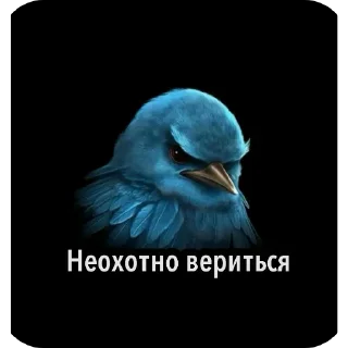 Стикер 9 Birds Memes