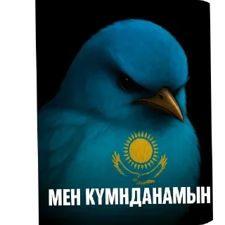 Стикер 8 Birds Memes