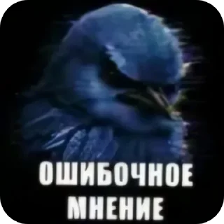 Стикер 28 Birds Memes