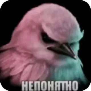 Стикер 35 Birds Memes