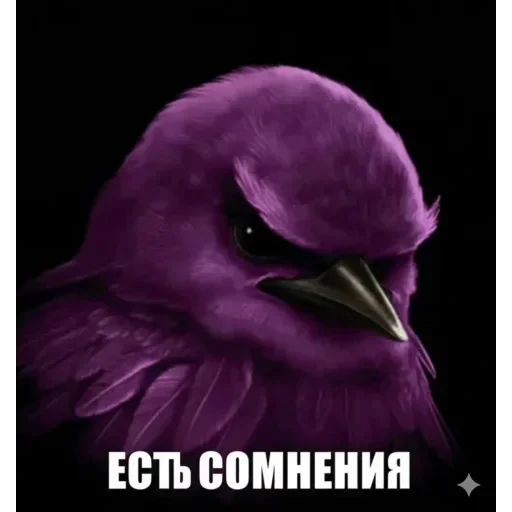 Стикер 43 Birds Memes