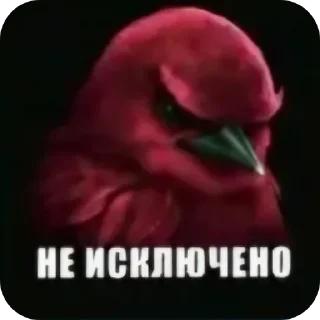 Стикер 24 Birds Memes
