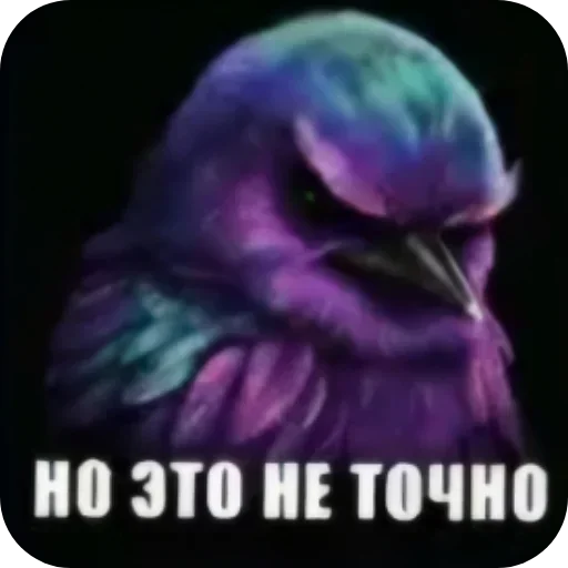 Стикер 58 Birds Memes
