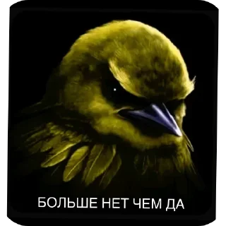 Стикер 18 Birds Memes
